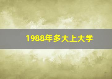 1988年多大上大学