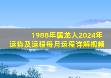 1988年属龙人2024年运势及运程每月运程详解视频