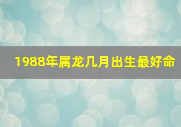 1988年属龙几月出生最好命