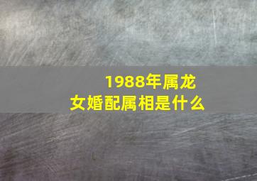 1988年属龙女婚配属相是什么