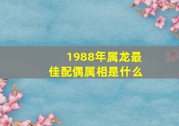 1988年属龙最佳配偶属相是什么