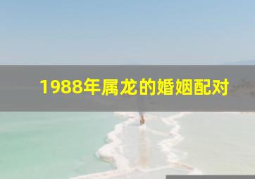 1988年属龙的婚姻配对