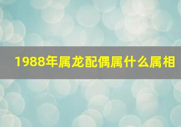 1988年属龙配偶属什么属相