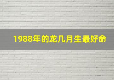 1988年的龙几月生最好命