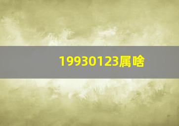 19930123属啥