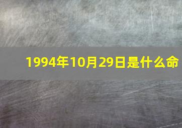 1994年10月29日是什么命