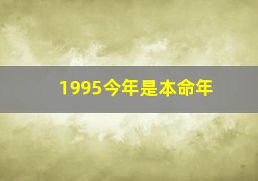 1995今年是本命年