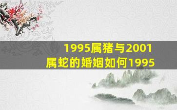 1995属猪与2001属蛇的婚姻如何1995