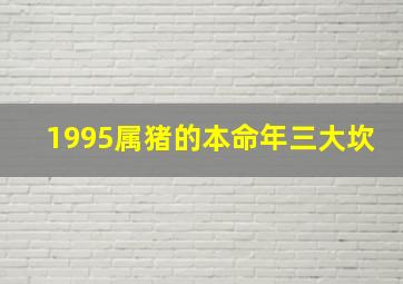 1995属猪的本命年三大坎