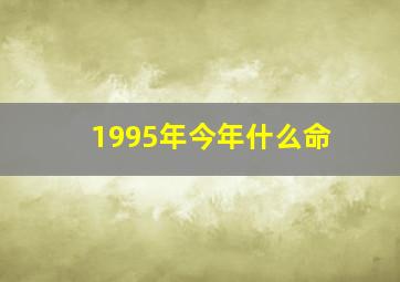 1995年今年什么命