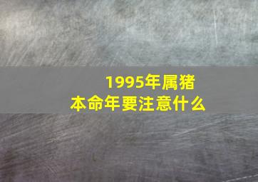 1995年属猪本命年要注意什么