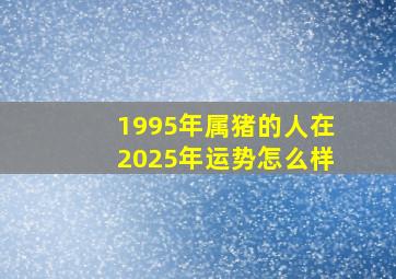 1995年属猪的人在2025年运势怎么样