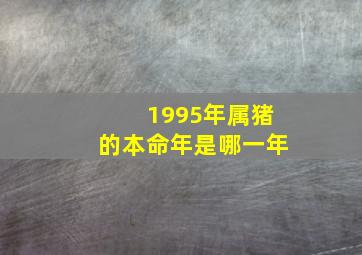 1995年属猪的本命年是哪一年