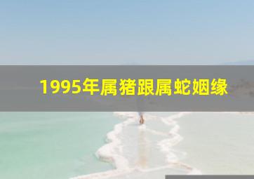 1995年属猪跟属蛇姻缘