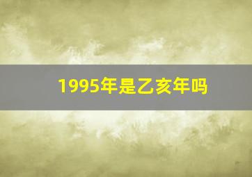 1995年是乙亥年吗