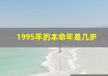 1995年的本命年是几岁