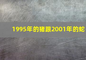 1995年的猪跟2001年的蛇