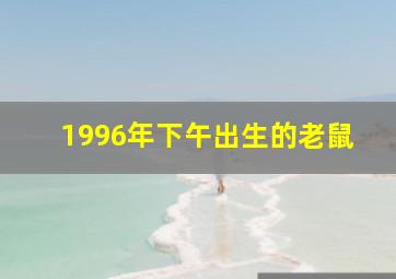 1996年下午出生的老鼠