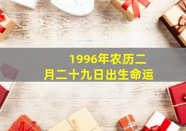 1996年农历二月二十九日出生命运