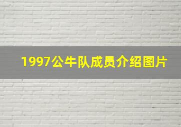 1997公牛队成员介绍图片