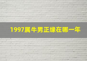 1997属牛男正缘在哪一年