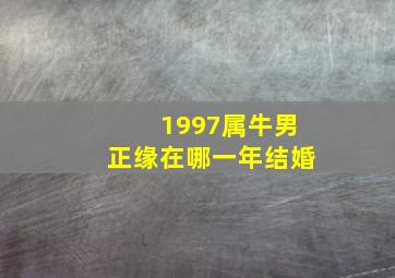 1997属牛男正缘在哪一年结婚