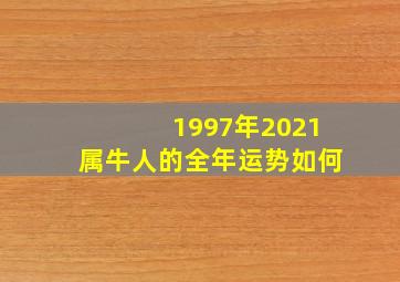 1997年2021属牛人的全年运势如何