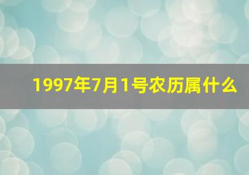 1997年7月1号农历属什么