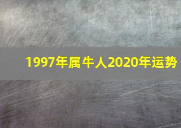 1997年属牛人2020年运势