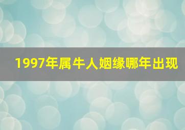 1997年属牛人姻缘哪年出现