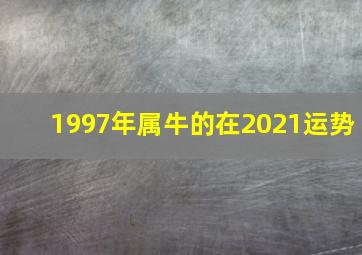 1997年属牛的在2021运势