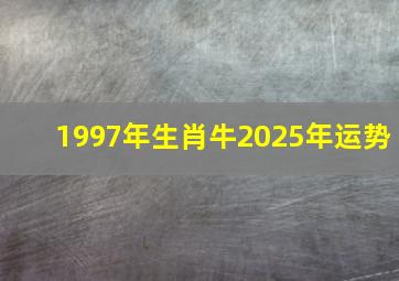 1997年生肖牛2025年运势