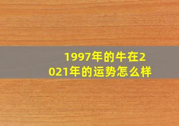 1997年的牛在2021年的运势怎么样