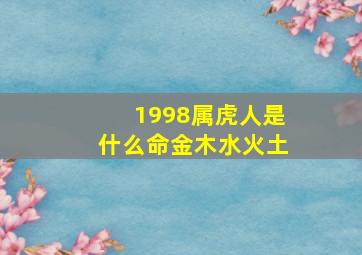 1998属虎人是什么命金木水火土