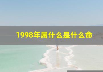 1998年属什么是什么命