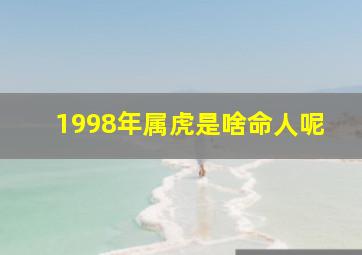 1998年属虎是啥命人呢