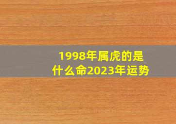 1998年属虎的是什么命2023年运势