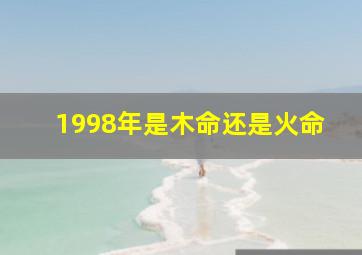 1998年是木命还是火命