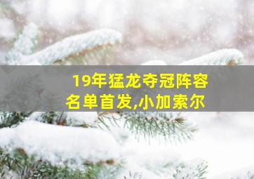 19年猛龙夺冠阵容名单首发,小加索尔