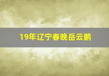 19年辽宁春晚岳云鹏