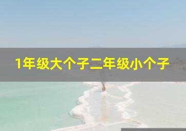 1年级大个子二年级小个子