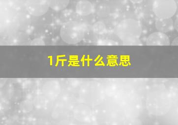 1斤是什么意思