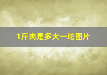 1斤肉是多大一坨图片