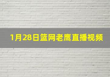 1月28日篮网老鹰直播视频