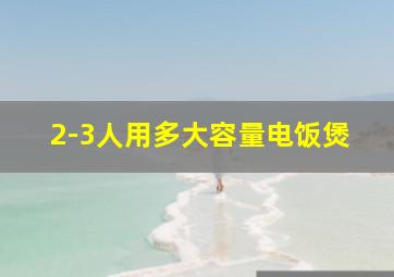 2-3人用多大容量电饭煲