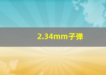 2.34mm子弹