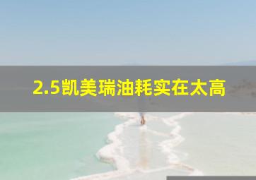 2.5凯美瑞油耗实在太高