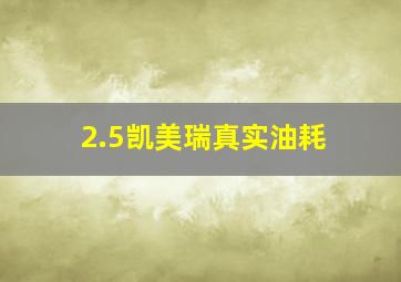 2.5凯美瑞真实油耗