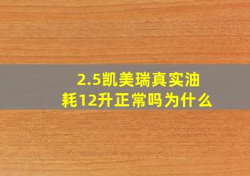 2.5凯美瑞真实油耗12升正常吗为什么