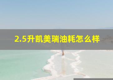 2.5升凯美瑞油耗怎么样